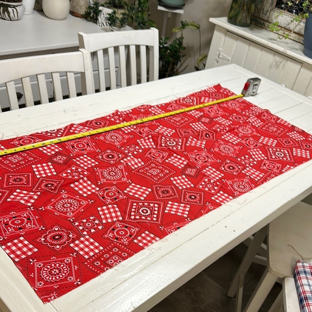 Vintage Paisley, Red black, white Daisy, Duke, Patterned material 44.5 x 20”